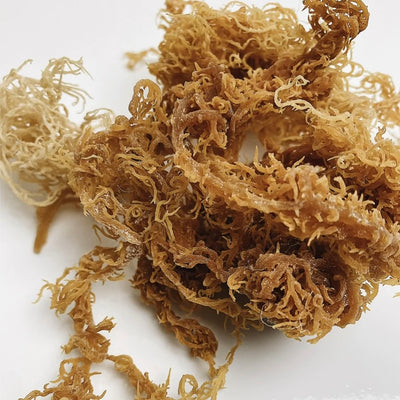 Sea Moss